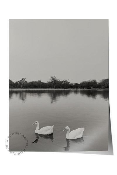 Postifull Ασπρόμαυρη αφίσα HD Photo Frameless - Διακόσμηση τοίχου σαλονιού και κουζίνας, Νο:77