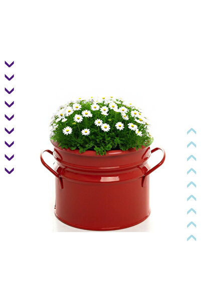 bimbambom Çok Amaçlı Dekoratif Kova, Metal Kova, Metal Kulplu Saksı, Düzenleyici Kaşıklık, Kalemlik