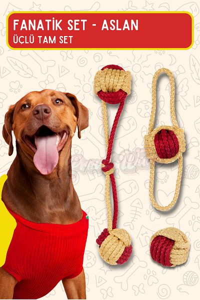 Proud Wave Dog Toy Fanatic Triple Set Flossing Dental Health Dog Ball Yellow Red Medium Large Breed Teeth Scratching