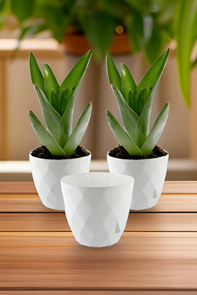 TEMMUZ HOME 3 Adet 2,4 Litre Beyaz Renkli 17,5cm Baklava Desenli Kendinden Ta...