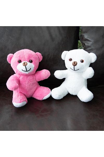 Nobbystar Set of 2 Plush White and Pink Teddy Bear - 20 Cm