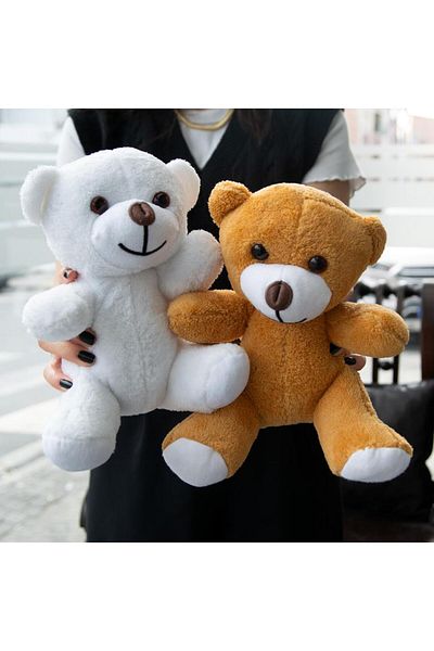 Nobbystar Set of 2 Plush White and Brown Teddy Bear - 20cm