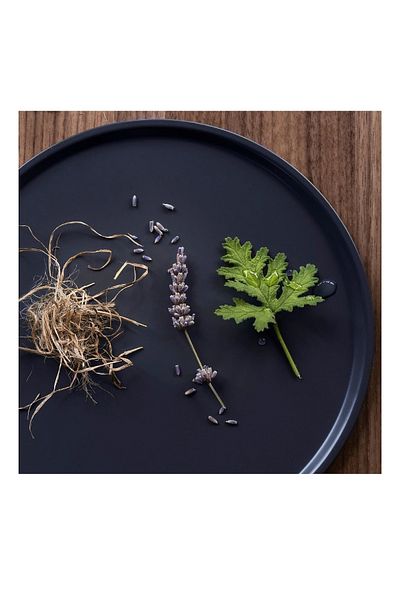 IKEA Αποξηραμένο λουλούδι Fruktskog, μαύρο-τιρκουάζ, 90 g, Μύγα και γιρλάντα