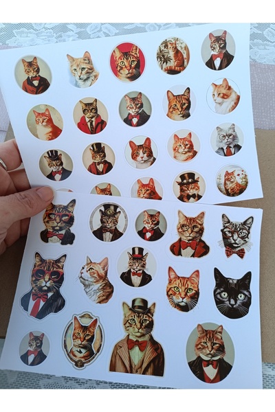 Pink Swan Craft Set de autocolante cu portrete de pisici de epocă, laptop, iP...