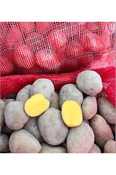 MARABEL PATATES TOHUMU 10KG (ORSANTARIM)