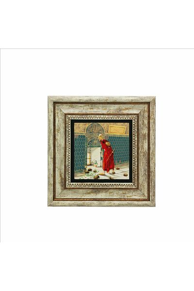 Sadrazam Turtle Trainer Picture Printed Natural Stone Painting 20X20 Krt-127
