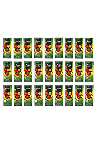 Cappy Atom Ballı Karışık Meyve Nektarı 200 Ml X 27 Adet