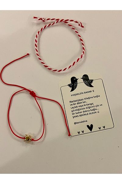 Ben Aleina Marteniçka Lucky Bracelet Turtle Lucky Bracelet