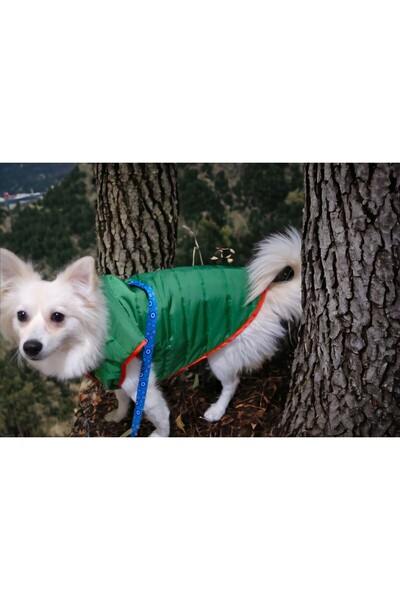 KopfkinoBaby Su Geçirmez, Çift Taraflı Köpek Montu