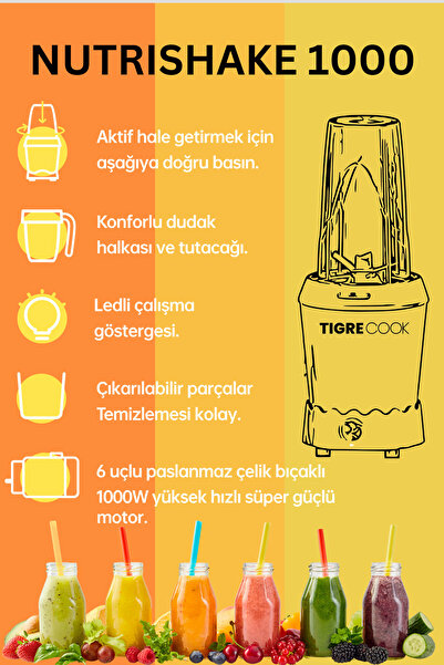 teknotrust NUTRISHAKE 3 in 1 Paslanmaz Çelik Bıçaklı Kişisel Smoothie Blender ve Kahve Baharat Öğütücü 1000W
