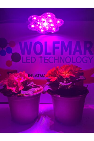 WOLFMAR Spiralli Orkide Geliştirme Lambası Hassas Bitkiler Için 5v Usb 6w