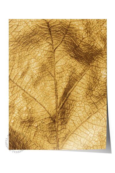 Postifull Poster fără încadrare, tablou botanic și frunze nr: 19, fotografie ...