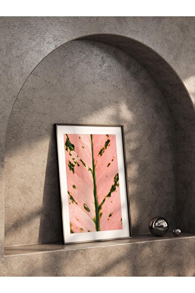 Postifull Poster fără încadrare, tablou botanic și frunze nr. 9, fotografie HD, poster pentru decorarea peretelui pentru sufragerie, bucătărie