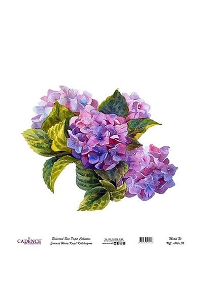 Cadence Uc016 60x60 decopage