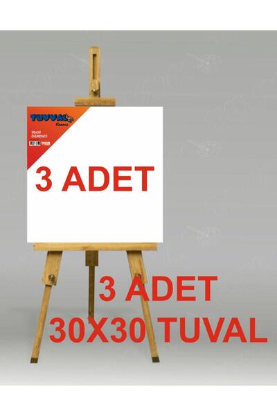 tuvval 30x30 Tuval(3ADET)