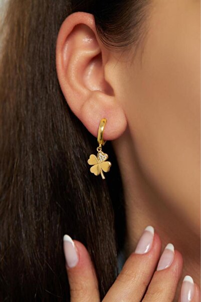 Roza Silver Zirkon Taşlı Gold Dört Yapraklı Yonca Halka Gümüş Küpe