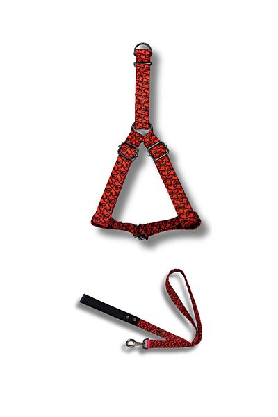UTDpet Redd Dog Chest Collar and Travel Dispatch Strap Set