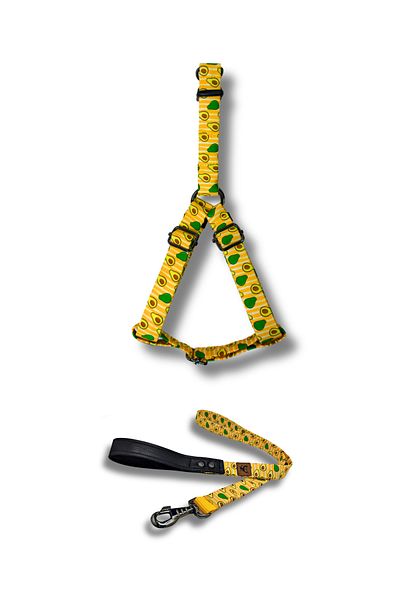 UTDpet Avocado Dog Collar and Travel Dispatch Strap Set