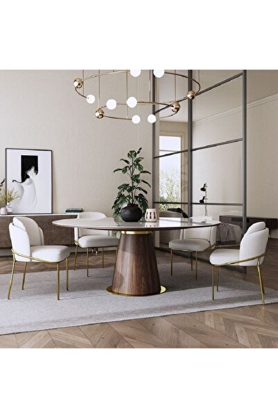 holzwelt 4'lü Mutfak Sandalyesi 4 Adet Yemek Odası Sandalyesi Salon Sandalyes...