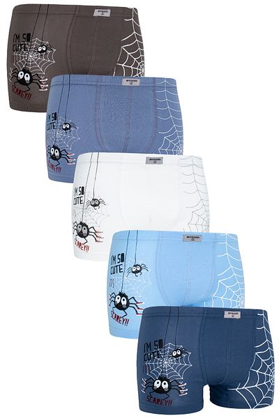biyokids Boy's Spider Patterned Boxer 5 Pack Mixed Color Printed Boxer Byo2494