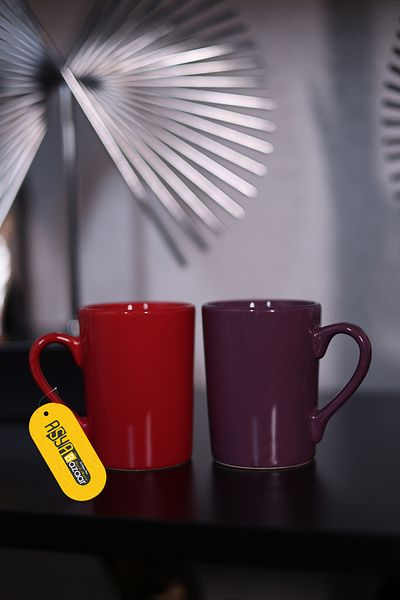 ASYA BAZAAR Colorful Mug Cup with 2 Handles
