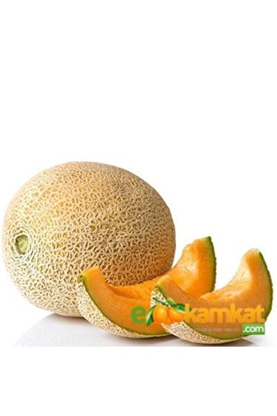 Berke Fidancılık Ananas Kokulu Kavun Tohumu 25 gr Paket