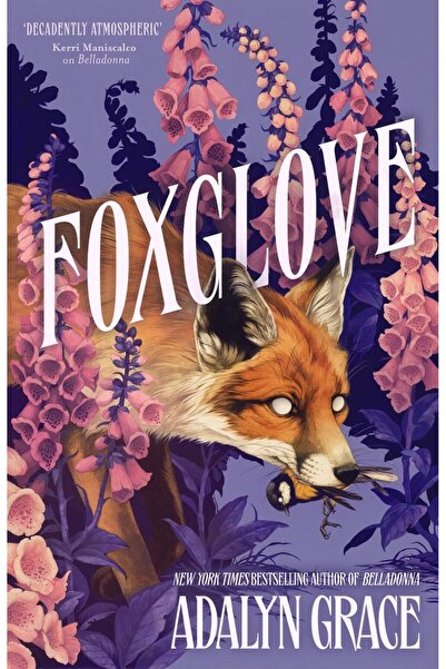 Hodder Stoughton Καστανόχρωμο - Μπελαντόνα