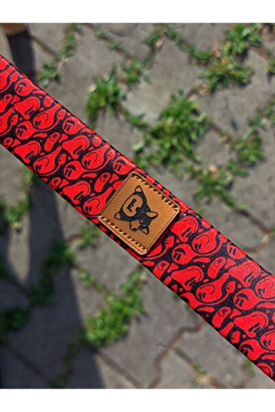 UTDpet Redd Dog Chest Collar and Travel Dispatch Strap Set