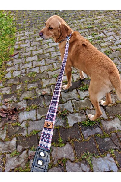 UTDpet Classy Dog Collar and Travel Dispatch Strap Set