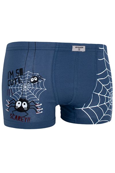 biyokids Boy's Spider Patterned Boxer 5 Pack Mixed Color Printed Boxer Byo2494