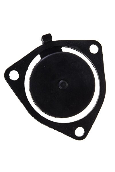 Palmera PA20T Benzinli Su Motoru Klepe >2017