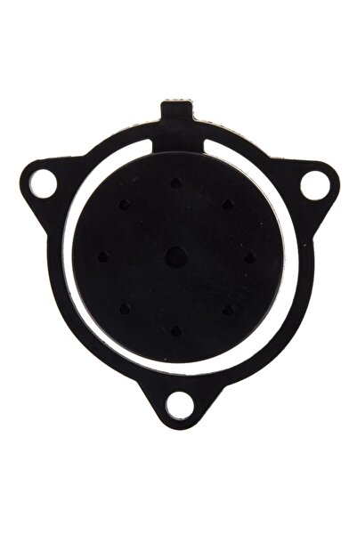 Palmera PA350T, PA3T0 Benzinli Su Motoru Klepe