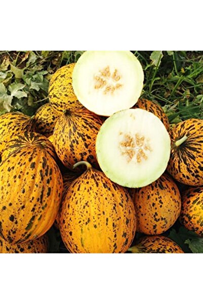 Kırkağaç Kavun (637) Tohumu 10 Gr Paket