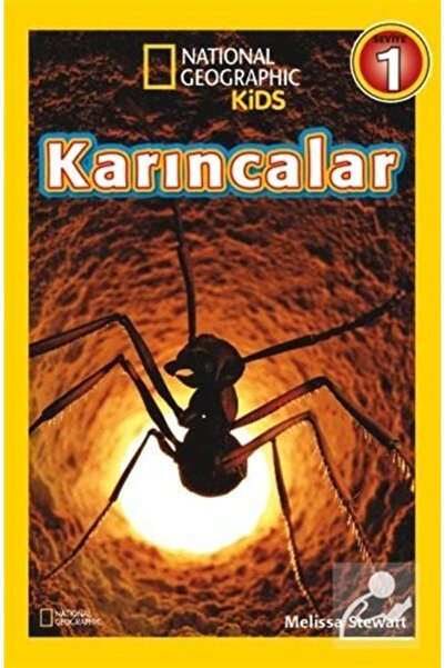 Beta Kids National Geographic Kids -karıncalar
