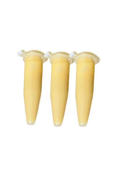 Bio Tree Keiki Orkide Çoğaltma Macunu 3 Adet X 1,5 Gr- Keiki Macunu En Etkili...