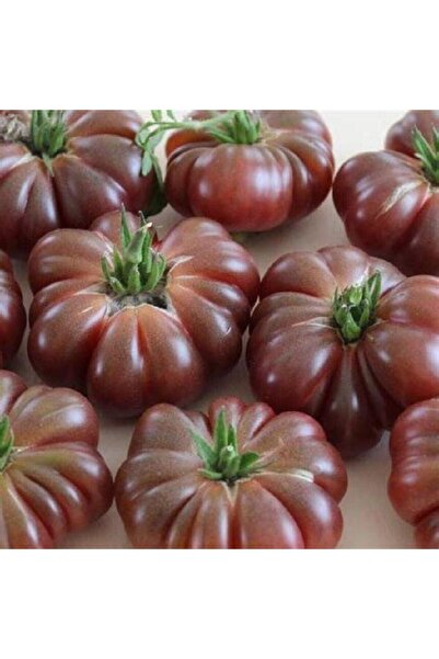 Genel Markalar Calabash Domates Tohumu (15 tohum)