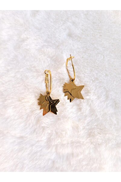 Evorya Gold Colored Stainless Steel Women's Earrings - Star Dangle