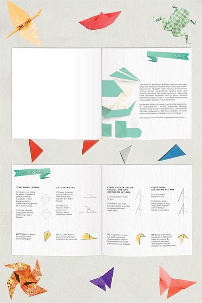 Le Color Origami 246 - Geometric Marbling Paper Folding Art