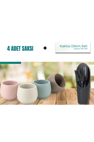 uzaktangelir 4 Adet Kaktüs Ve Sukulent Saksısı 0,13 Litre   Saksı+Kaktüs Diki...