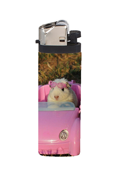 Namgo Hızlı ve Öfkeli Hamster Gazlı Çakmak