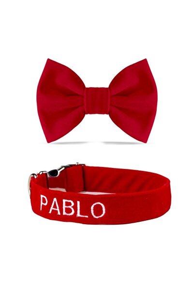 Lusi Doog İsme Özel Köpek Tasması İsimli Köpek Tasması ve Köpek Papyonu (Kadife)