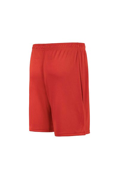 Puma Echipa națională de volei masculin - pantaloni scurți de joc din Turcia