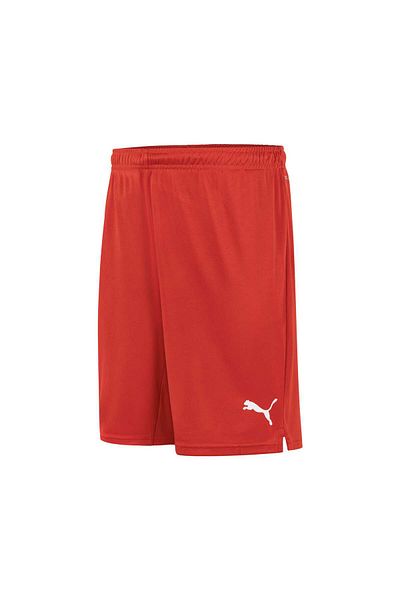 Puma Echipa națională de volei masculin - pantaloni scurți de joc din Turcia