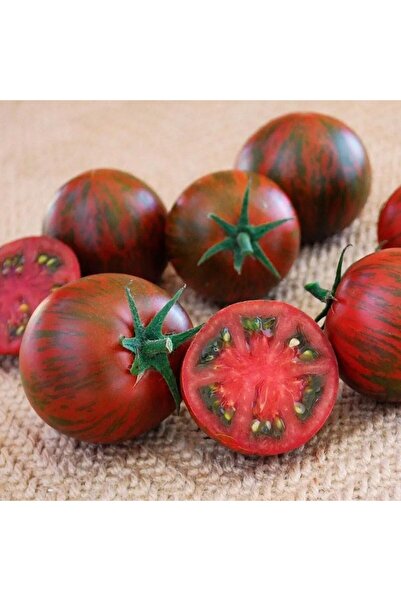 E-fidancim Mirra Kokulu Sırık Zebra Domates Fidesi (5 adet)