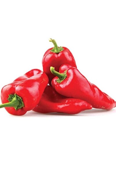 E-fidancim Tatlı Etli Salçalık Kızartmalık  Sofralık Kapya Biber Fidesi (5 adet)