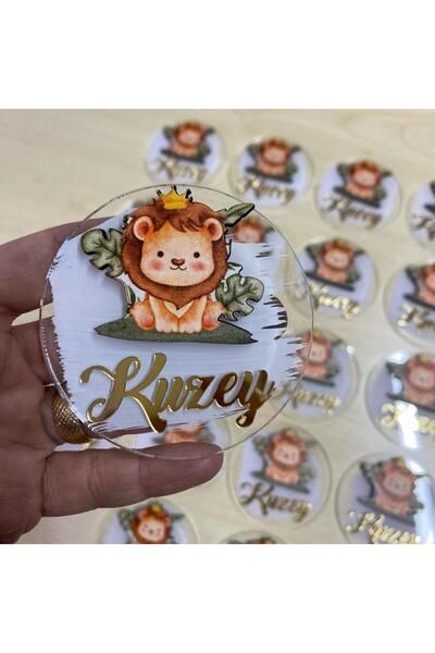Roseart Aslan Boyalı Pleksi Bebek Hediyelik Magnet 10 adet