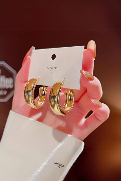 Diloshtrend Design Kadın Parlak Halka Küpe Çifti