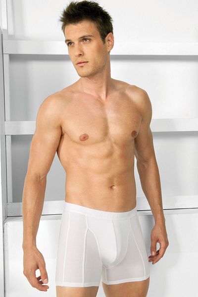 GOLDENBAY Men's Modal Classic Boxer (1755)