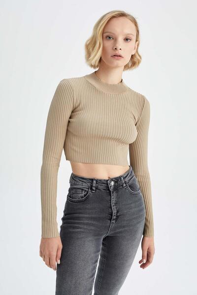 DeFacto Fitted Half Turtleneck Sweater Y8133az22au