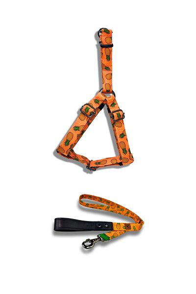 UTDpet Pine Dog Chest Collar and Travel Dispatch Strap Set